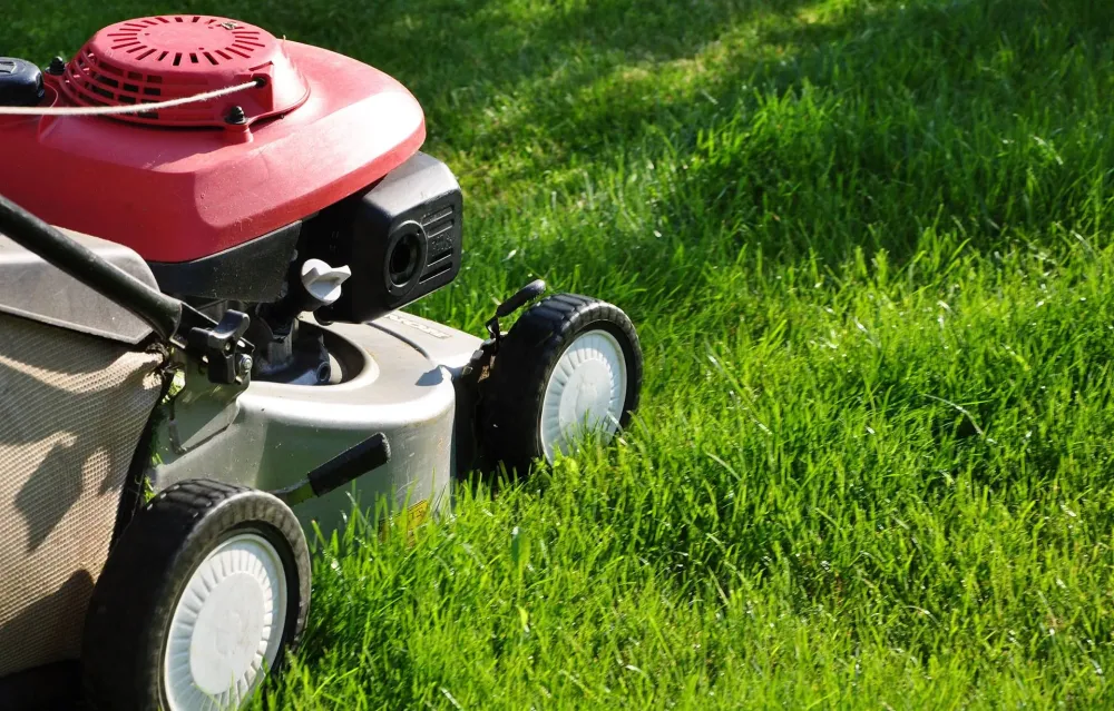 Entretien espaces verts près de Doué-la-Fontaine