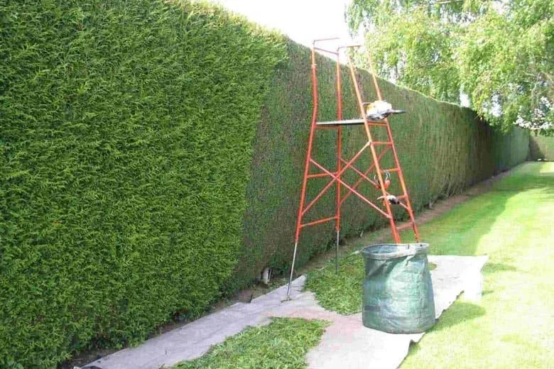 Espaces verts près de Doué-la-Fontaine