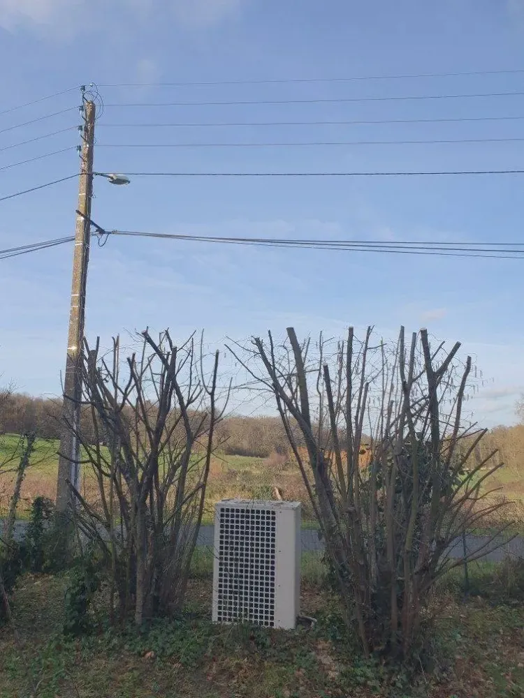 réalisation paysagiste (2)