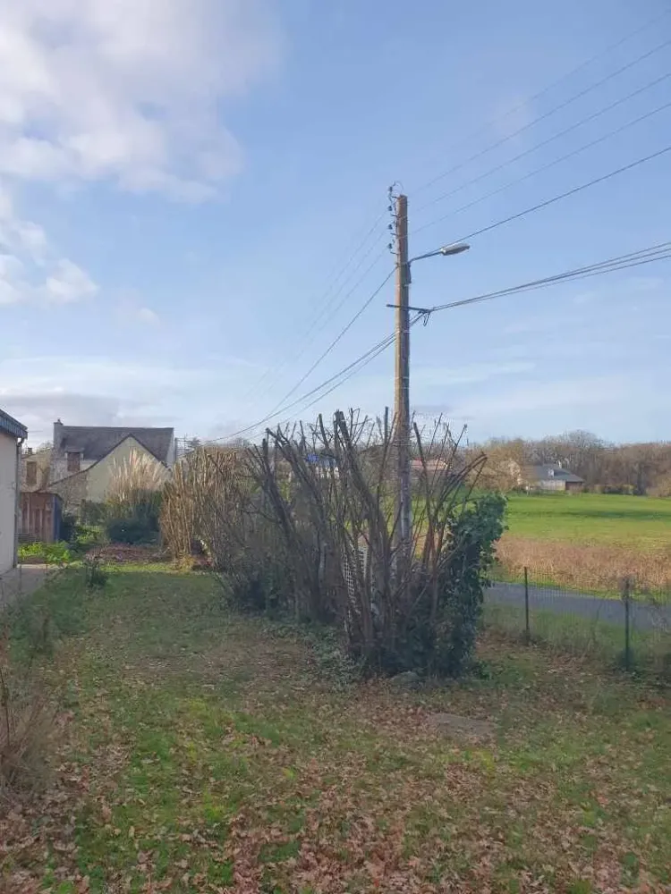 réalisation paysagiste (3)