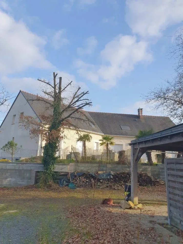 réalisation paysagiste (4)