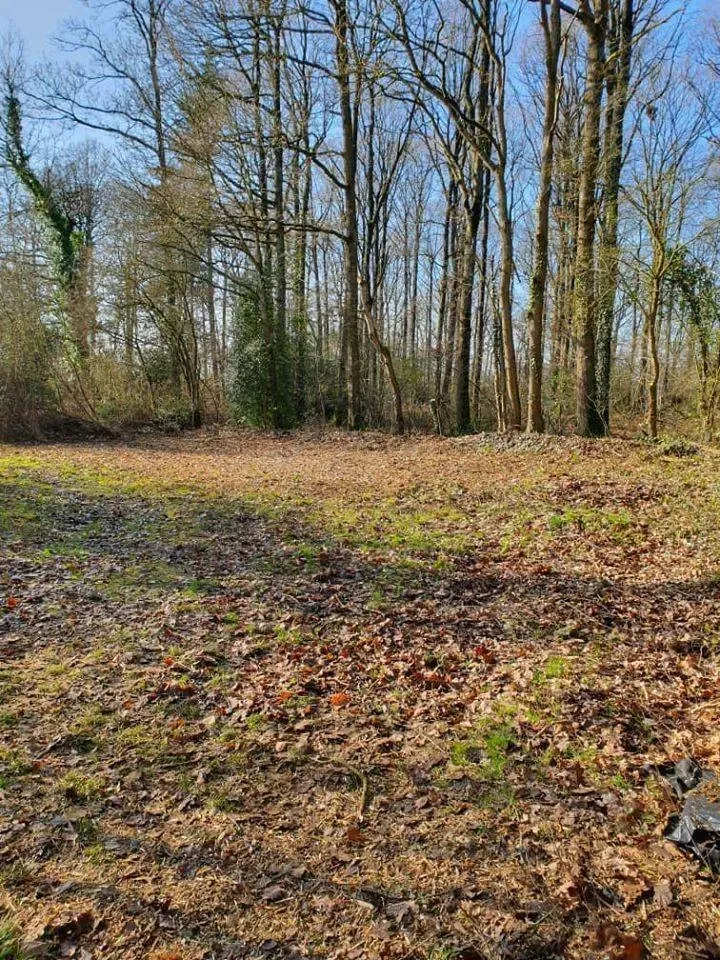 réalisation paysagiste (5)