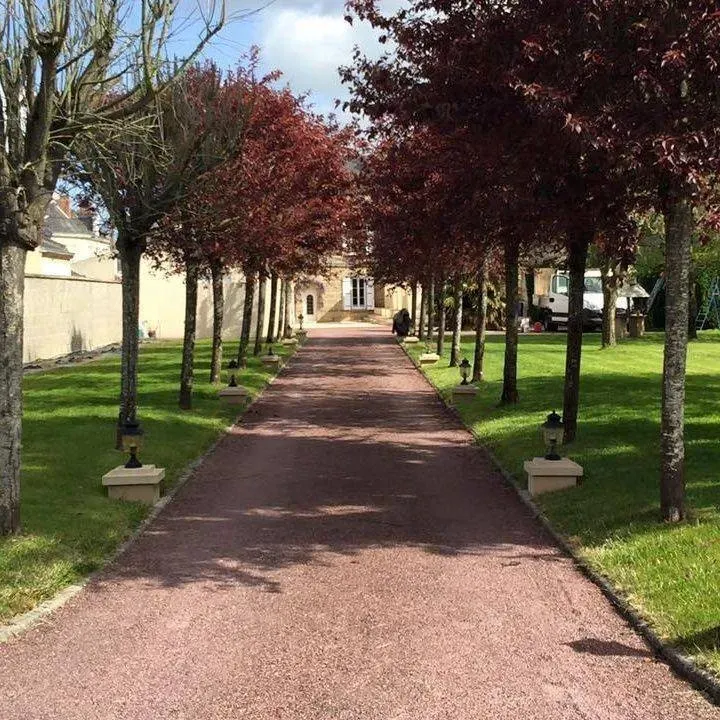 réalisation paysagiste (8)