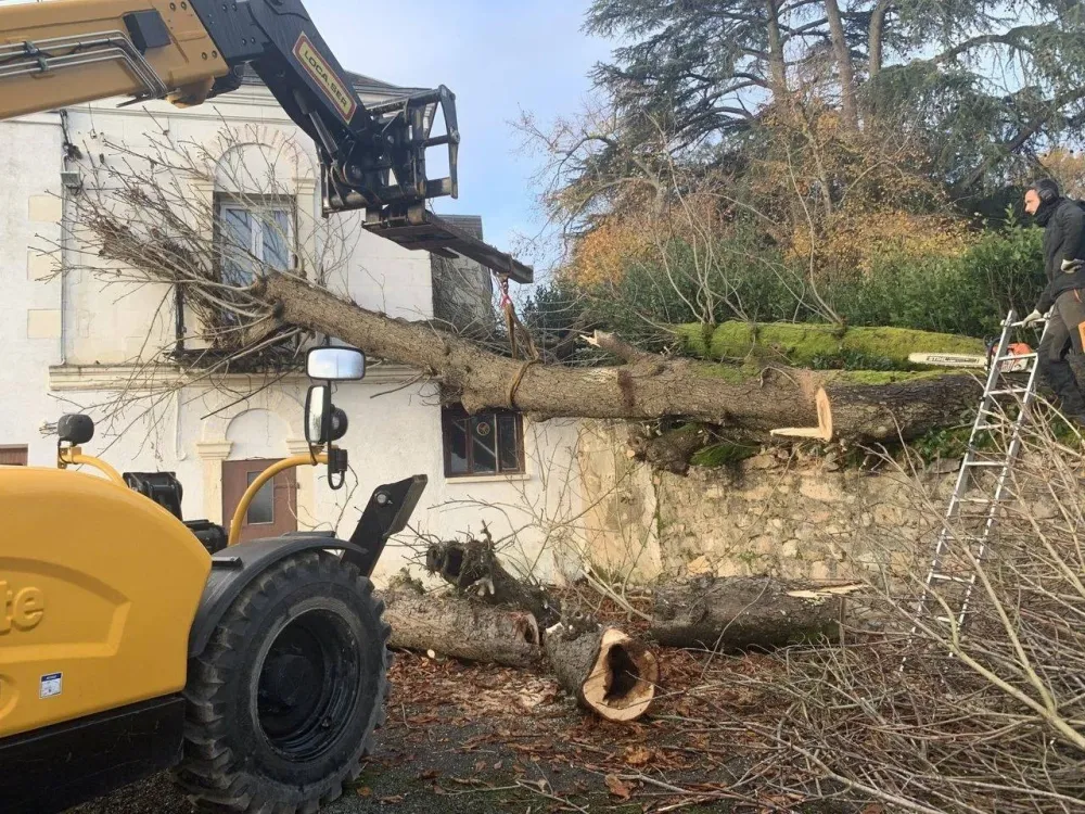 réalisation paysagiste (9)