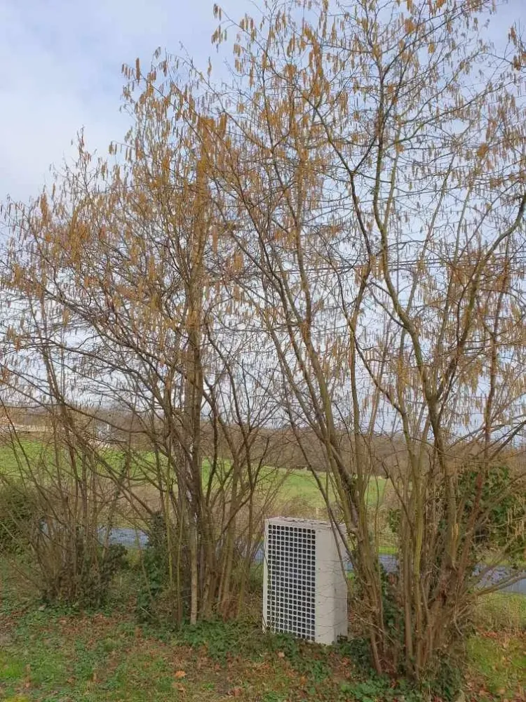 réalisation paysagiste (13)